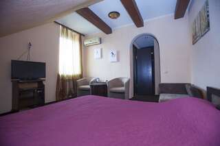 Мини-отель Mini-Hotel Voyage Запорожье Двухместный номер с 1 кроватью и собственной ванной комнатой-1