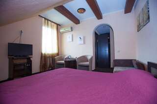Мини-отель Mini-Hotel Voyage Запорожье Двухместный номер с 1 кроватью и собственной ванной комнатой-6